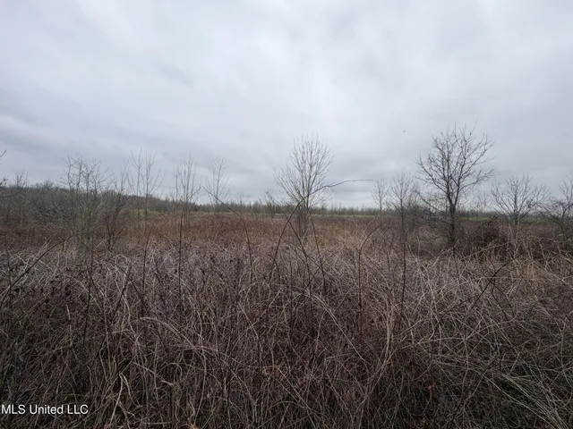 $485,000 | Gentry Road, Mound Bayou, MS 38762