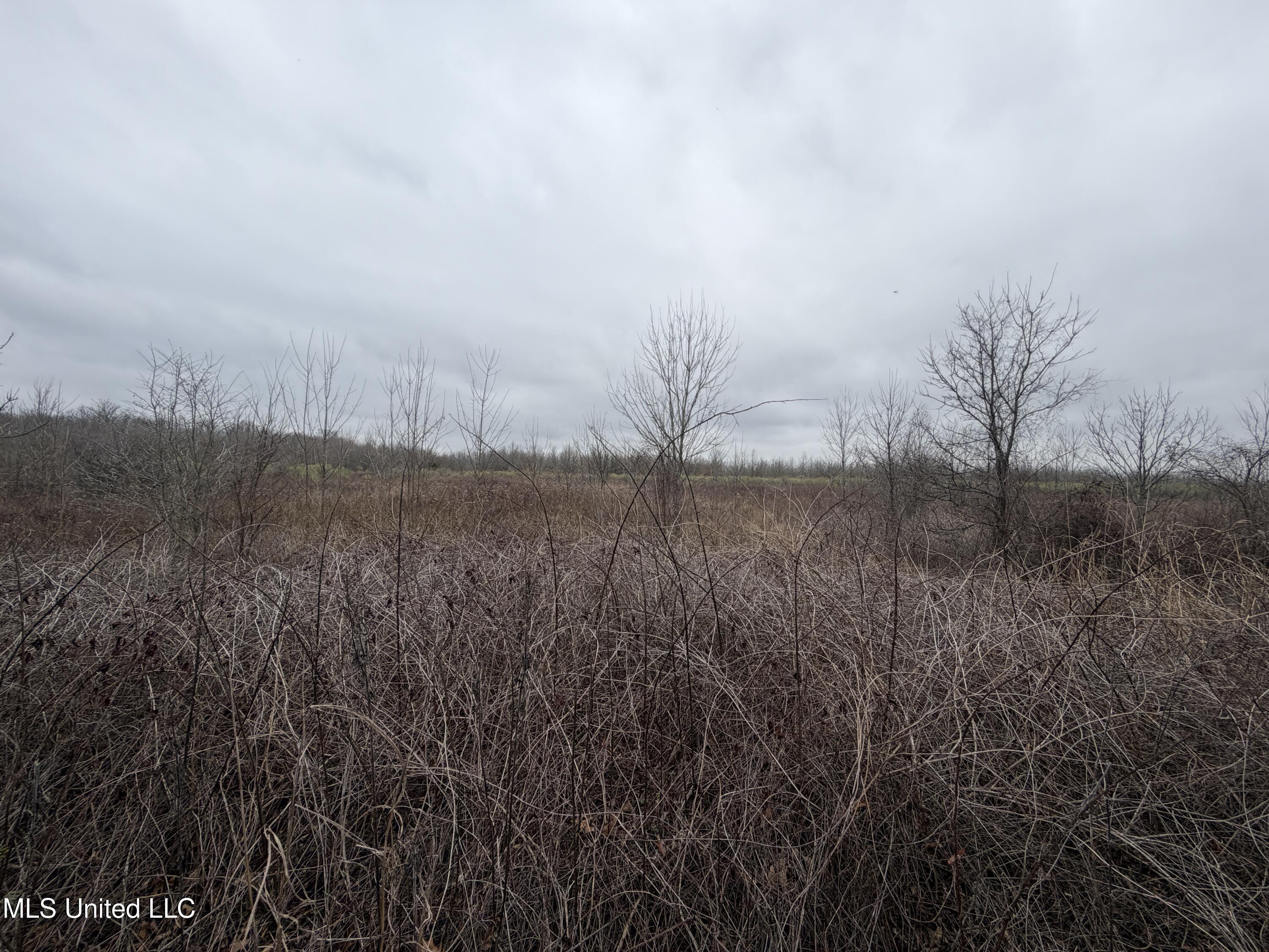 Gentry Road Mound Bayou, MS 38762 - Photo 62 of 68 IMG_1283