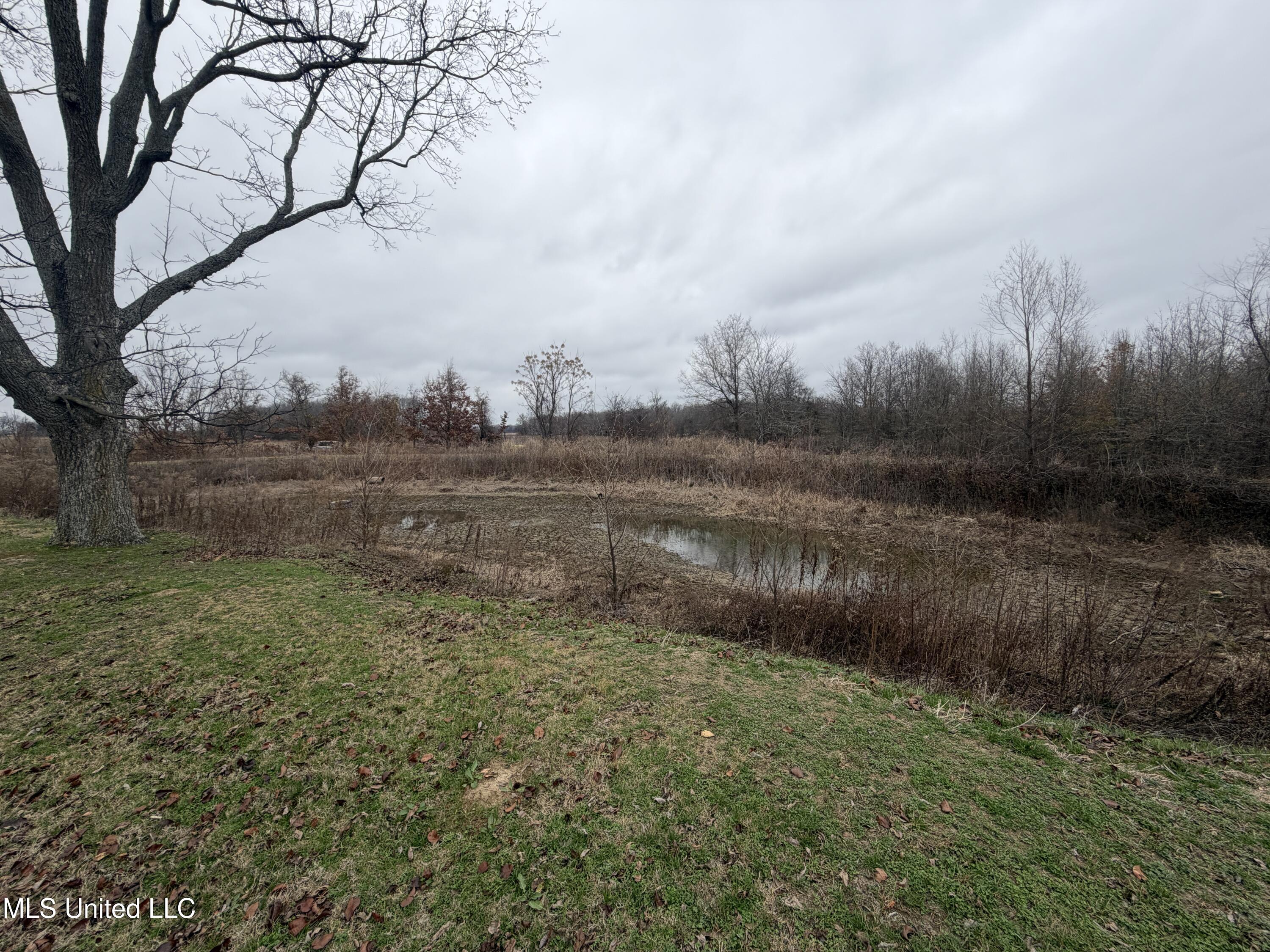 Gentry Road Mound Bayou, MS 38762 - Photo 63 of 68 IMG_1286