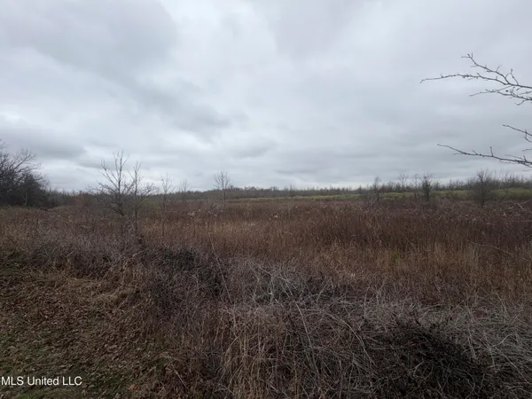 $485,000 | Gentry Road, Mound Bayou, MS 38762