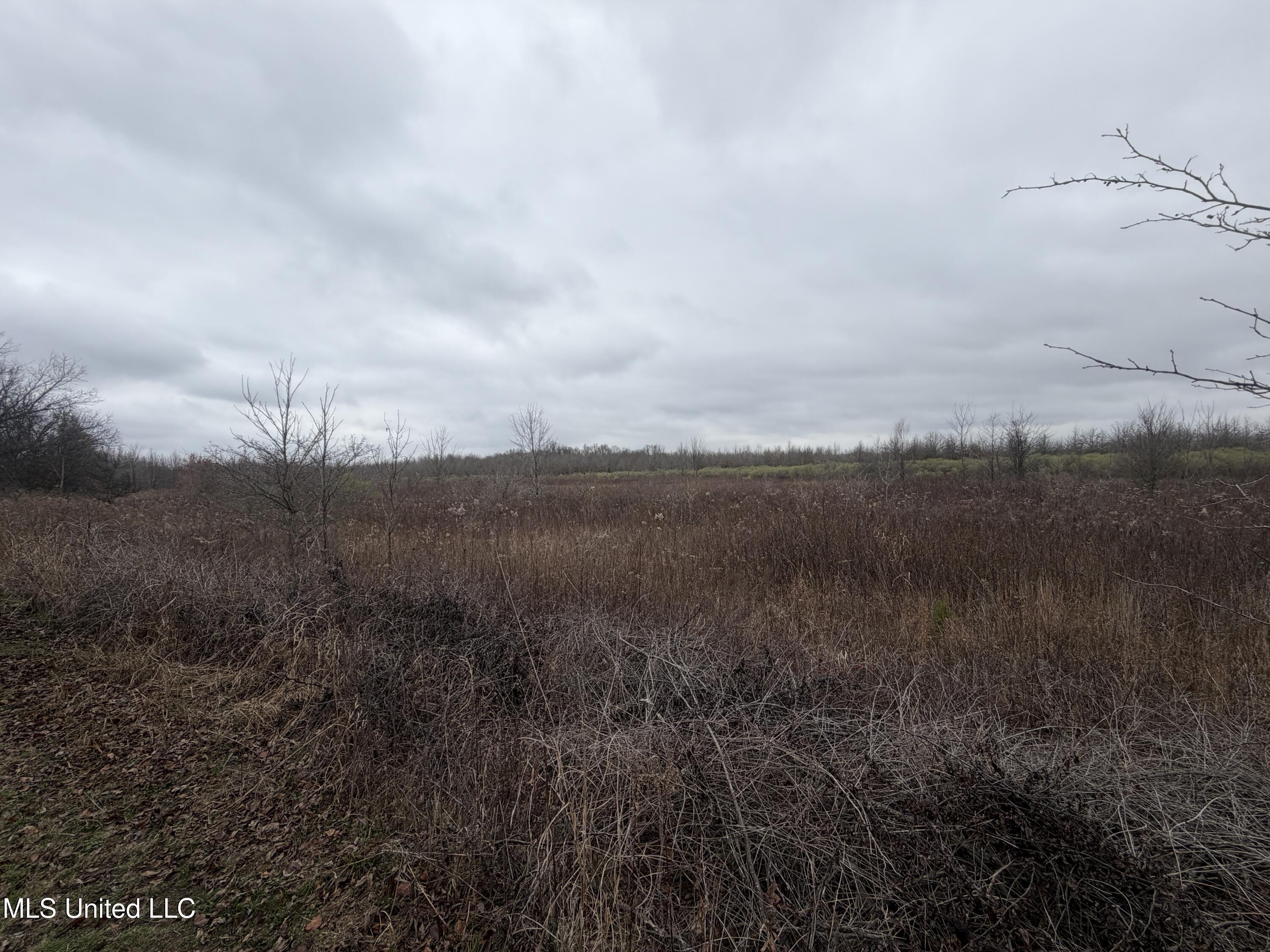 Gentry Road Mound Bayou, MS 38762 - Photo 64 of 68 IMG_1288