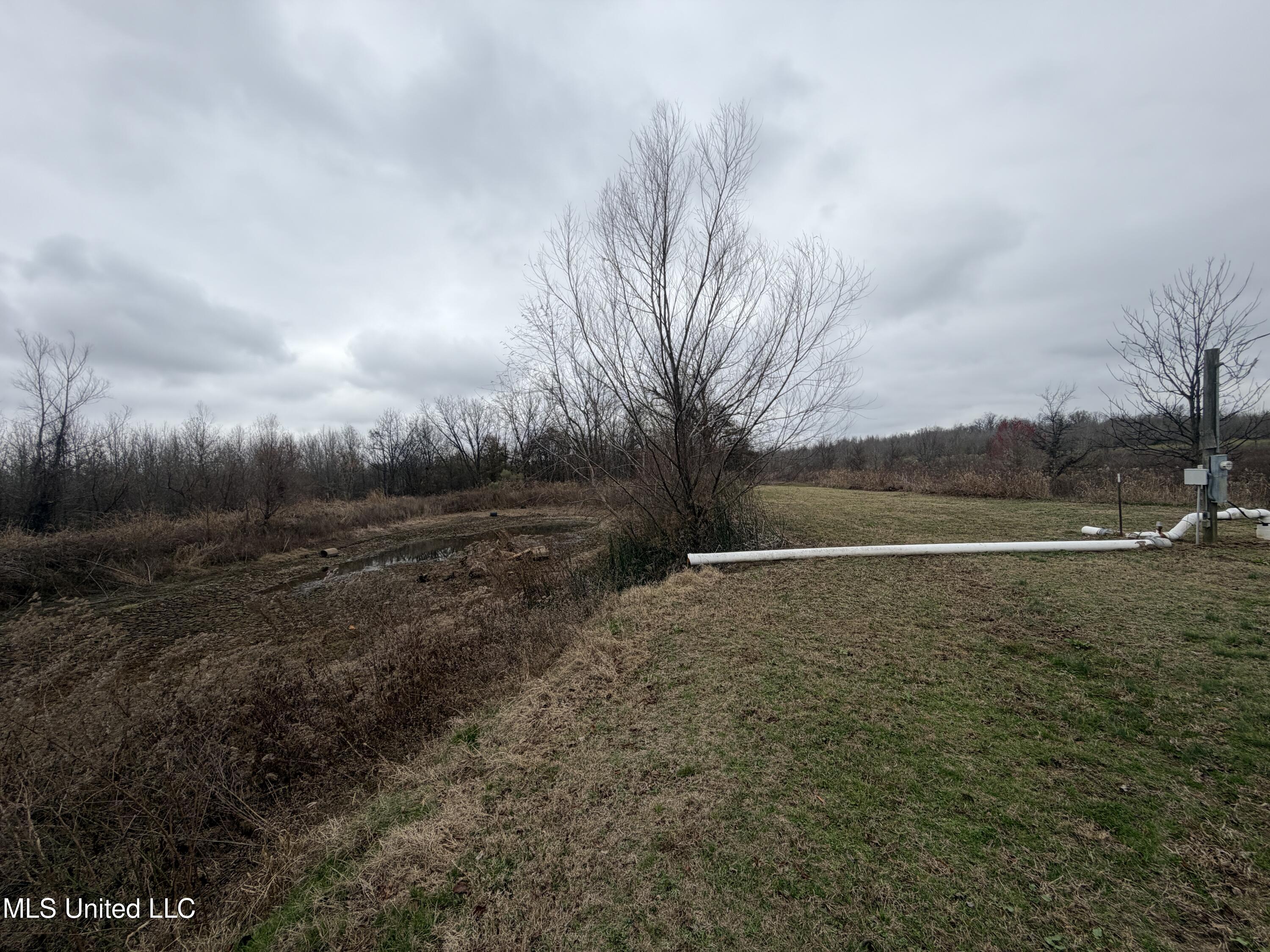 Gentry Road Mound Bayou, MS 38762 - Photo 65 of 68 IMG_1290
