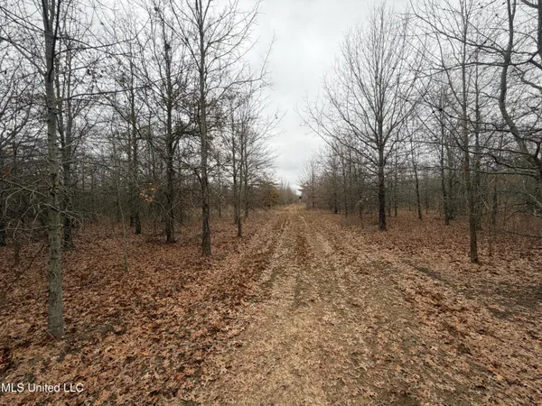 $485,000 | Gentry Road, Mound Bayou, MS 38762