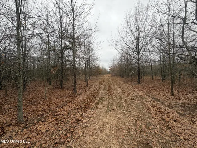 $485,000 | Gentry Road, Mound Bayou, MS 38762