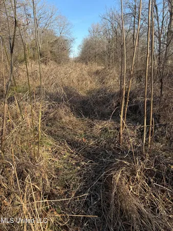 $485,000 | Gentry Road, Mound Bayou, MS 38762