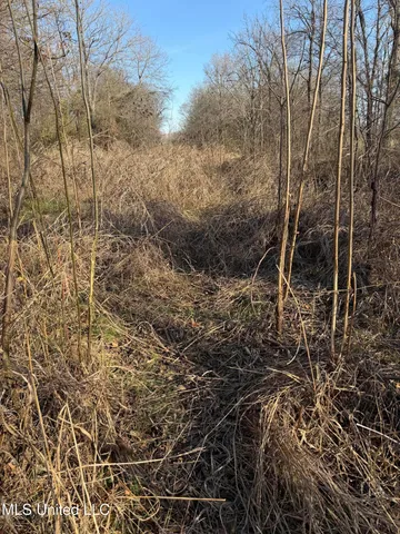 $485,000 | Gentry Road, Mound Bayou, MS 38762