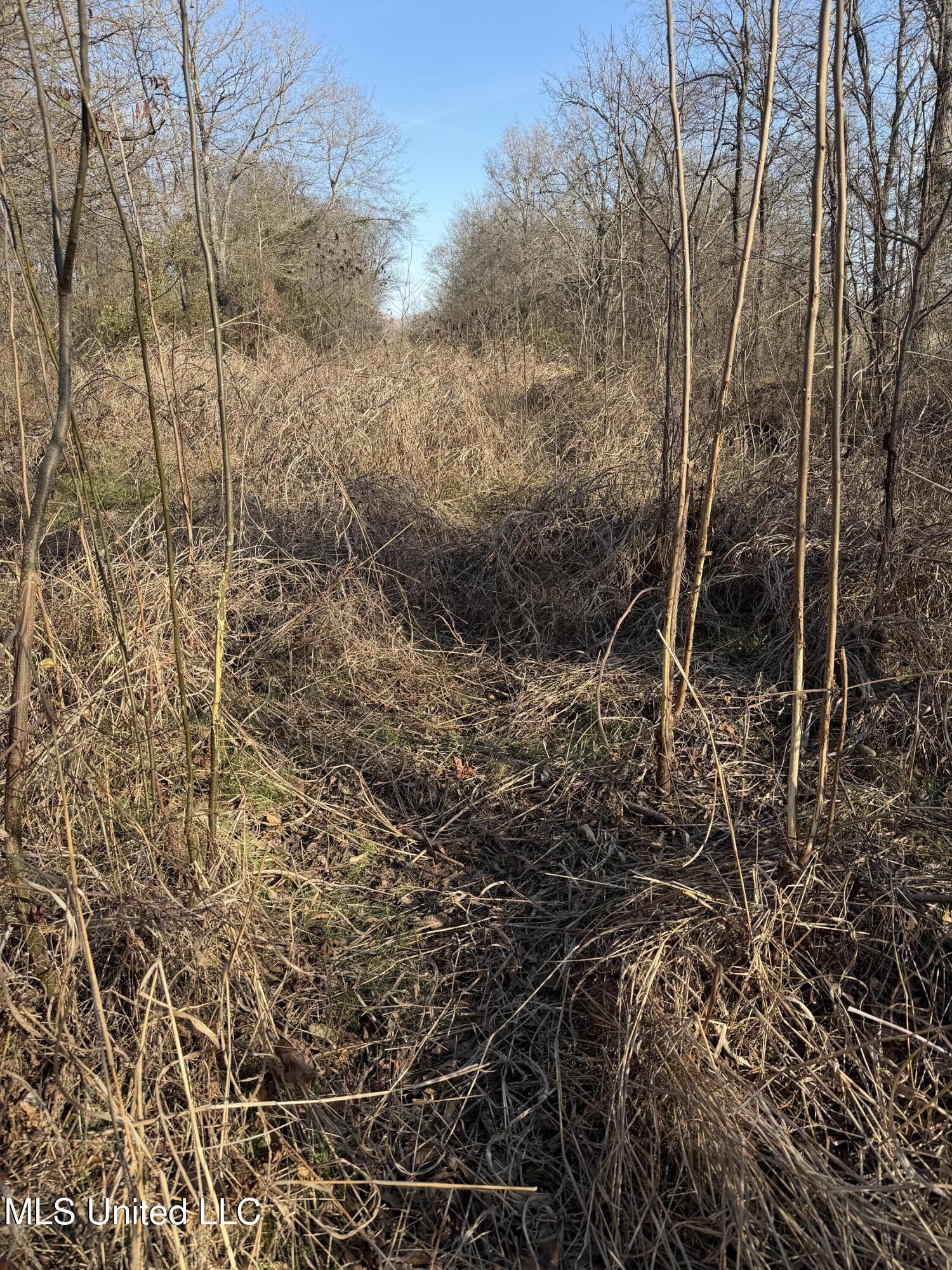 Gentry Road Mound Bayou, MS 38762 - Photo 68 of 68 IMG_1505