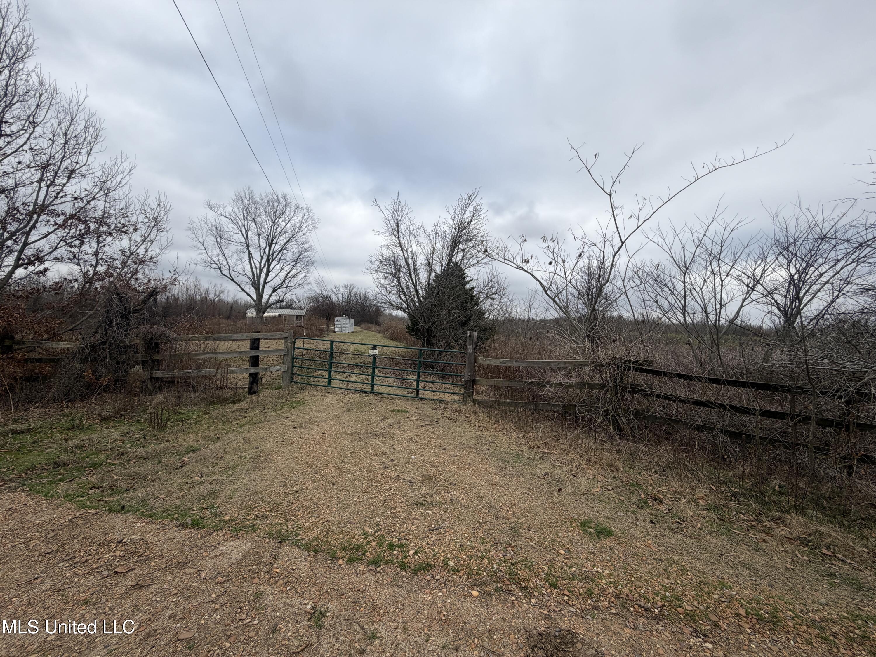 Gentry Road Mound Bayou, MS 38762 - Photo 7 of 68 IMG_1293