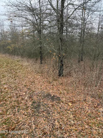 $485,000 | Gentry Road, Mound Bayou, MS 38762