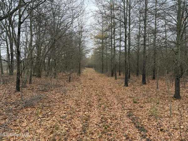 $485,000 | Gentry Road, Mound Bayou, MS 38762