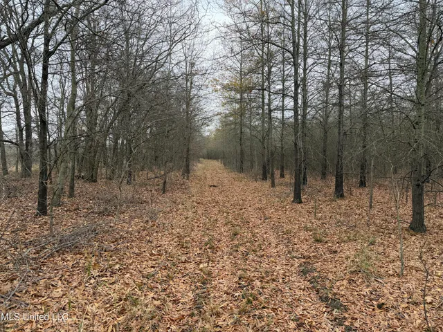 $485,000 | Gentry Road, Mound Bayou, MS 38762