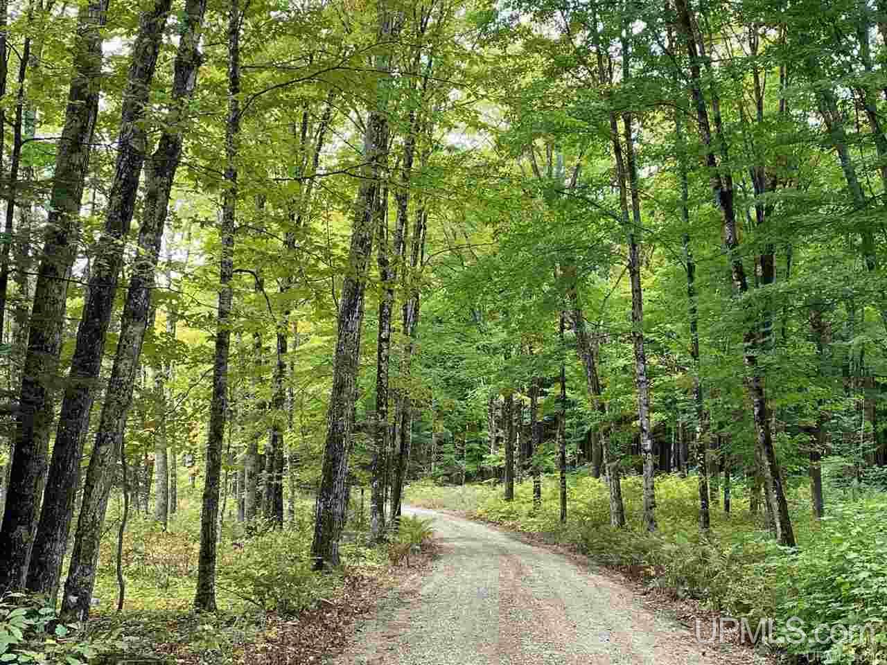 5998 East Maple Ridge 37th Road Rock, MI 49880 - Photo 47 of 50