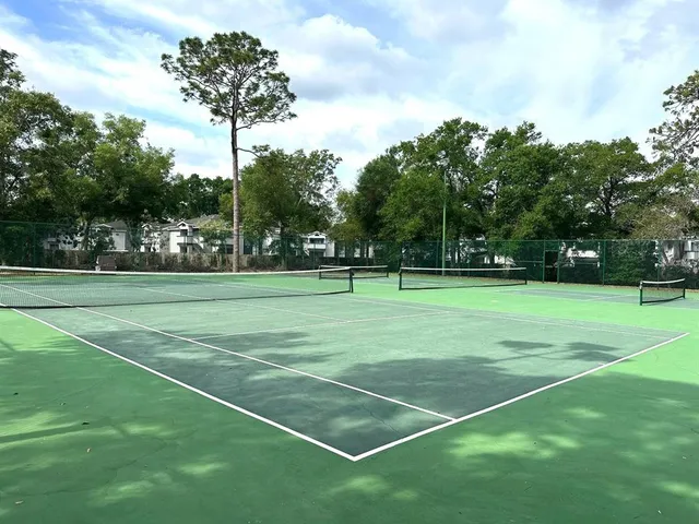 a park view with a bench under large trees