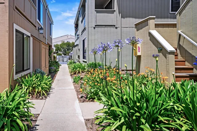 a view of a bunch of flowers in front of main door