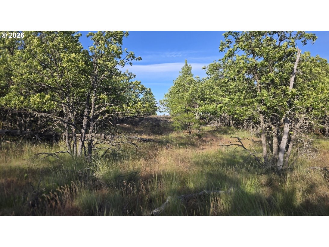 Meacham Road, Unit 2 Goldendale, WA 98620 - Photo 2 of 14 Gallery Image 2