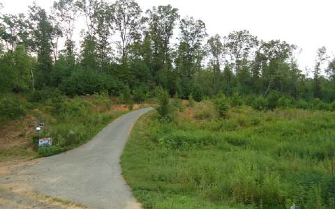 0 Marion Adams Road Murphy, NC 28906 - Photo 1 of 1 Main View