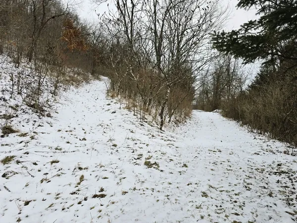 $535,000 | 41498 South Sleepy Hollow Road, Gays Mills, WI 54631