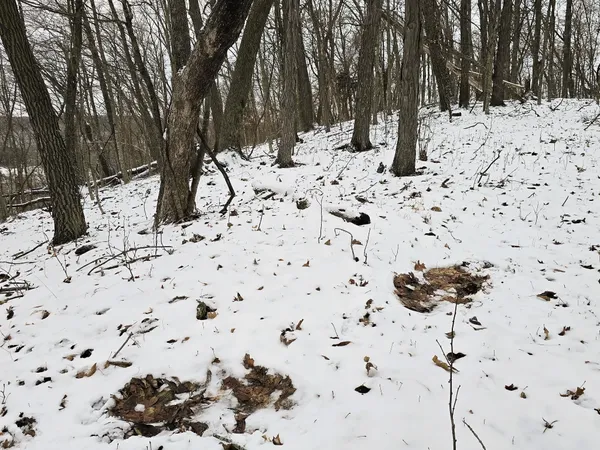 $535,000 | 41498 South Sleepy Hollow Road, Gays Mills, WI 54631