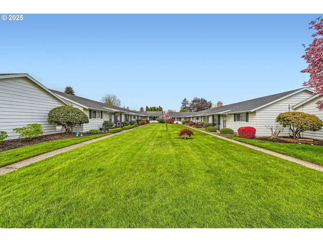 a childrens park with lots of swings and slides