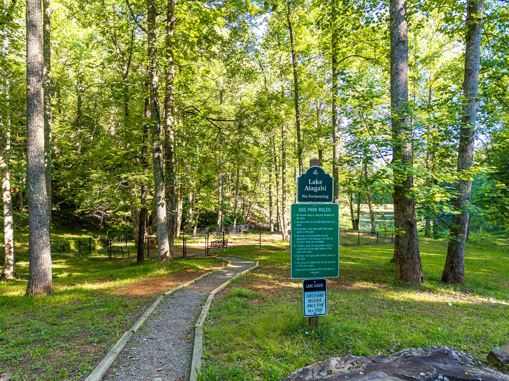775 Mountain Oak Road Ellijay, GA 30536 - Photo 83 of 106 Amenities