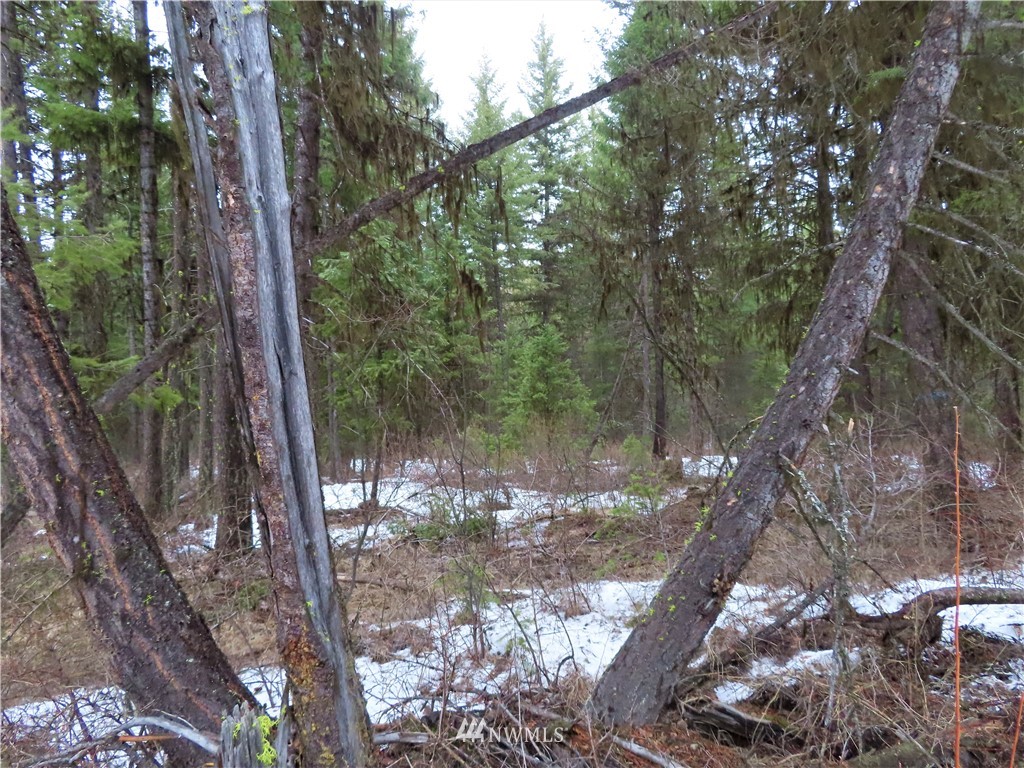 -tbd Freeman Road Curlew, WA 99118 - Photo 14 of 34 Gallery Image 14
