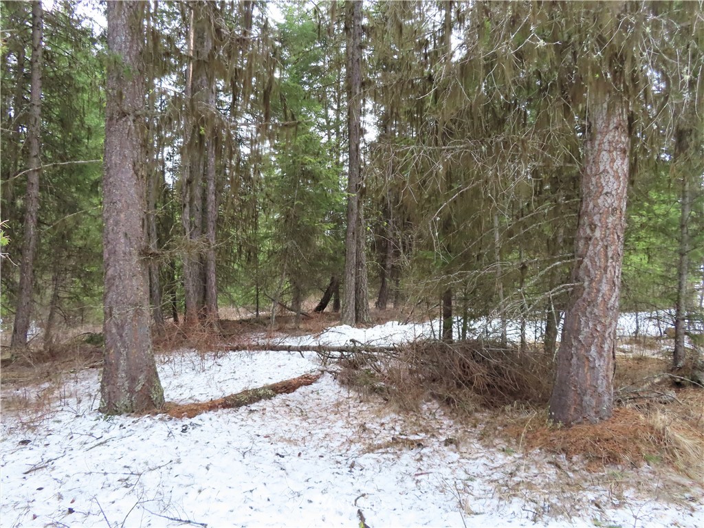 -tbd Freeman Road Curlew, WA 99118 - Photo 22 of 34 Gallery Image 22