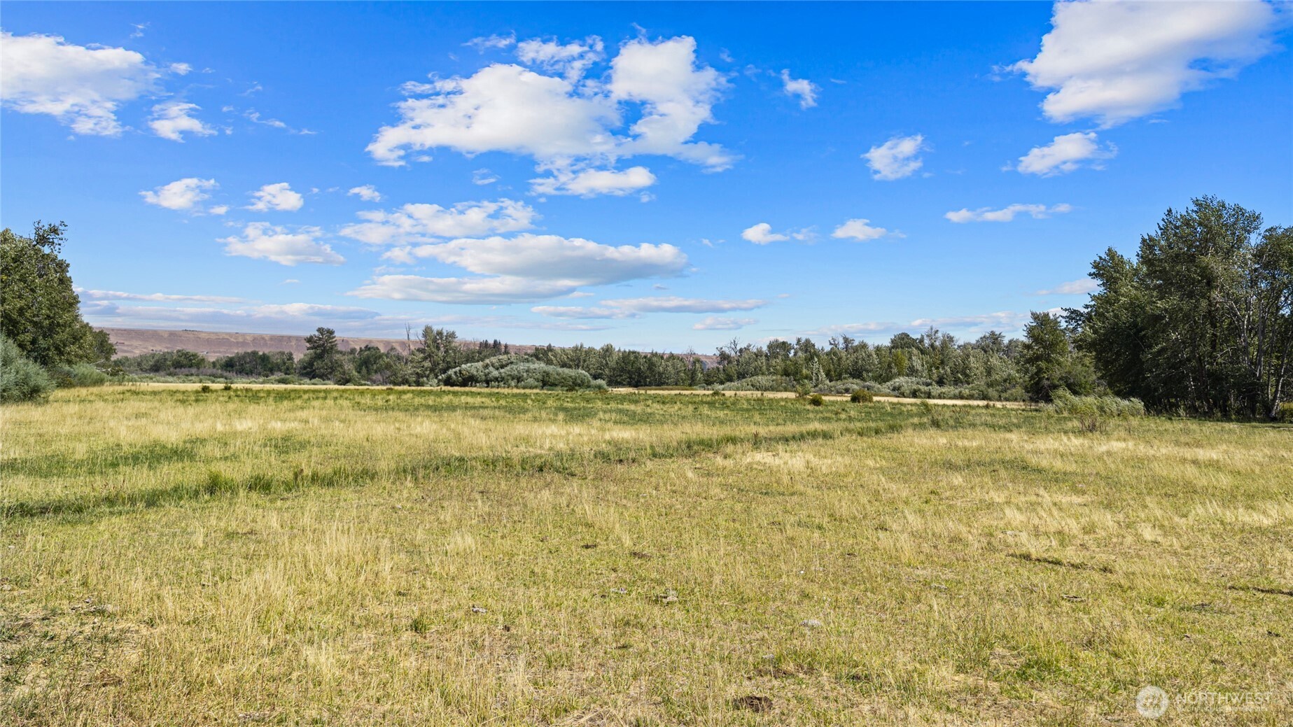 2911 East Taneum Road Thorp, WA 98946 - Photo 36 of 40 Gallery Image 36