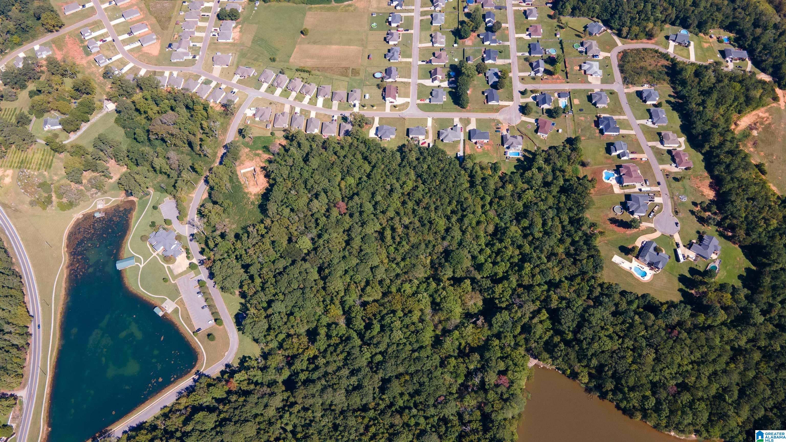 250 Angel Lake Road, Unit 1 PARCEL Jacksonville, AL 36265 - Photo 3 of 10
