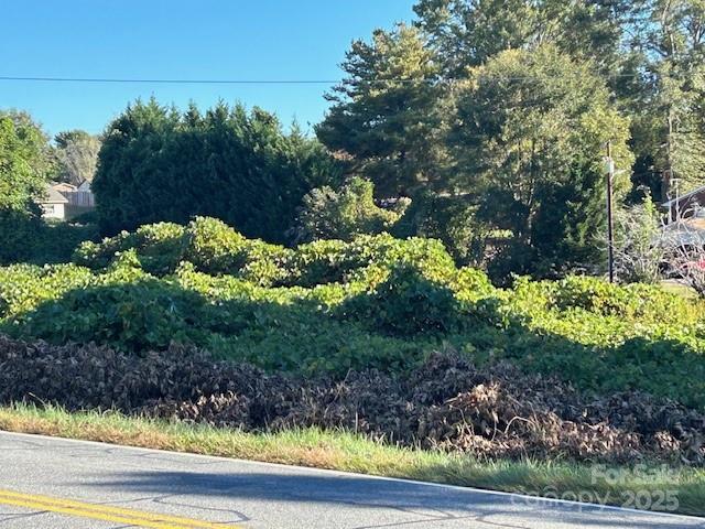 a view of a garden with pathway