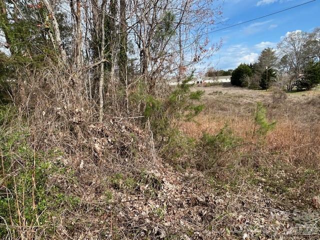 0 Oakland Heights Road Forest City, NC 28043 - Photo 11 of 14 a view of a yard with a tree