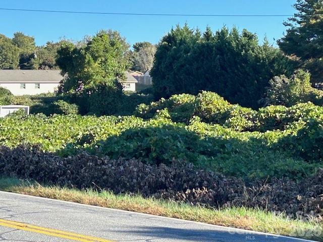 0 Oakland Heights Road Forest City, NC 28043 - Photo 3 of 14 a view of a garden