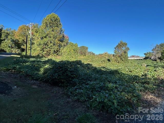 0 Oakland Heights Road Forest City, NC 28043 - Photo 4 of 14 a view of a garden with a tree
