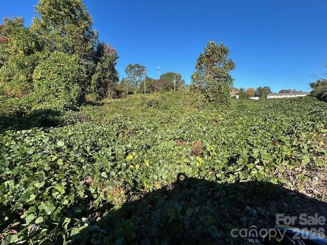 0 Oakland Heights Road Forest City, NC 28043 - Photo 5 of 14 a view of a bunch of trees