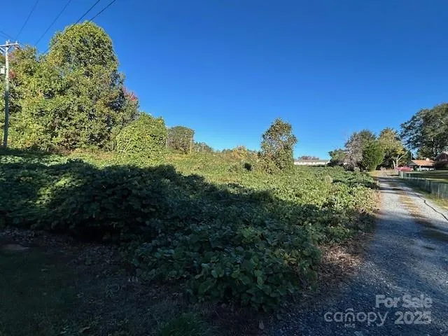 a view of a garden with a house