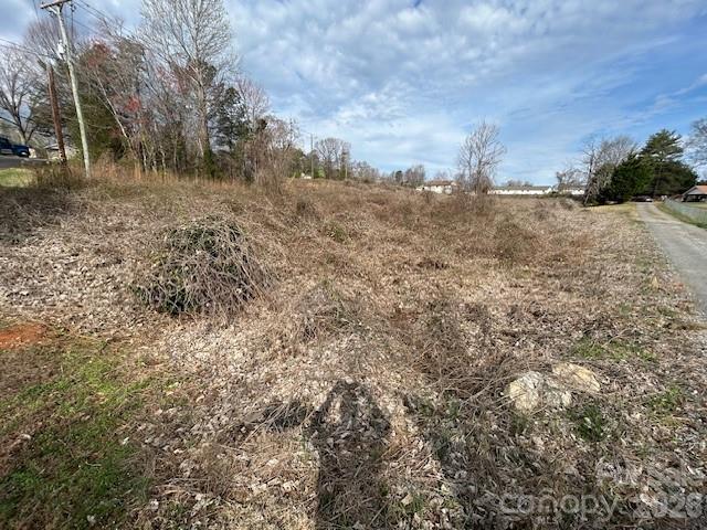 0 Oakland Heights Road Forest City, NC 28043 - Photo 10 of 14 a view of a dry yard with trees and bushes