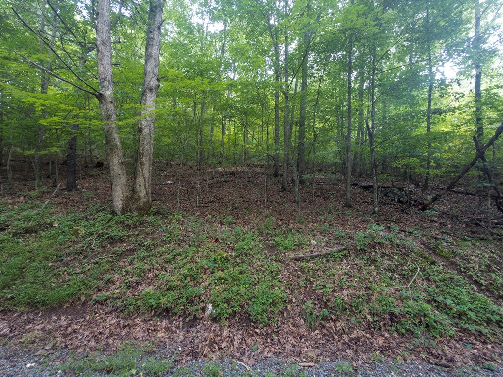 154 Buffalo Road, Unit 73A11 Dugspur, VA 24325 - Photo 25 of 41 Gallery Image 25
