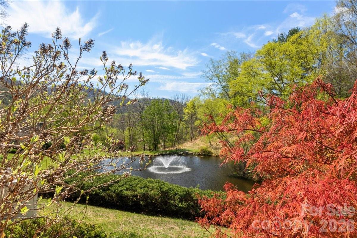 21 Ridge Terrace Asheville, NC 28804 - Photo 35 of 47