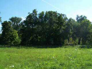 6548 Beecher Road Southwest Pataskala, OH 43062 - Photo 6 of 9