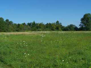 6548 Beecher Road Southwest Pataskala, OH 43062 - Photo 7 of 9