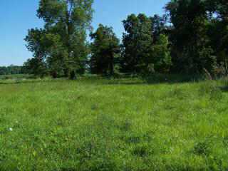 6548 Beecher Road Southwest Pataskala, OH 43062 - Photo 8 of 9