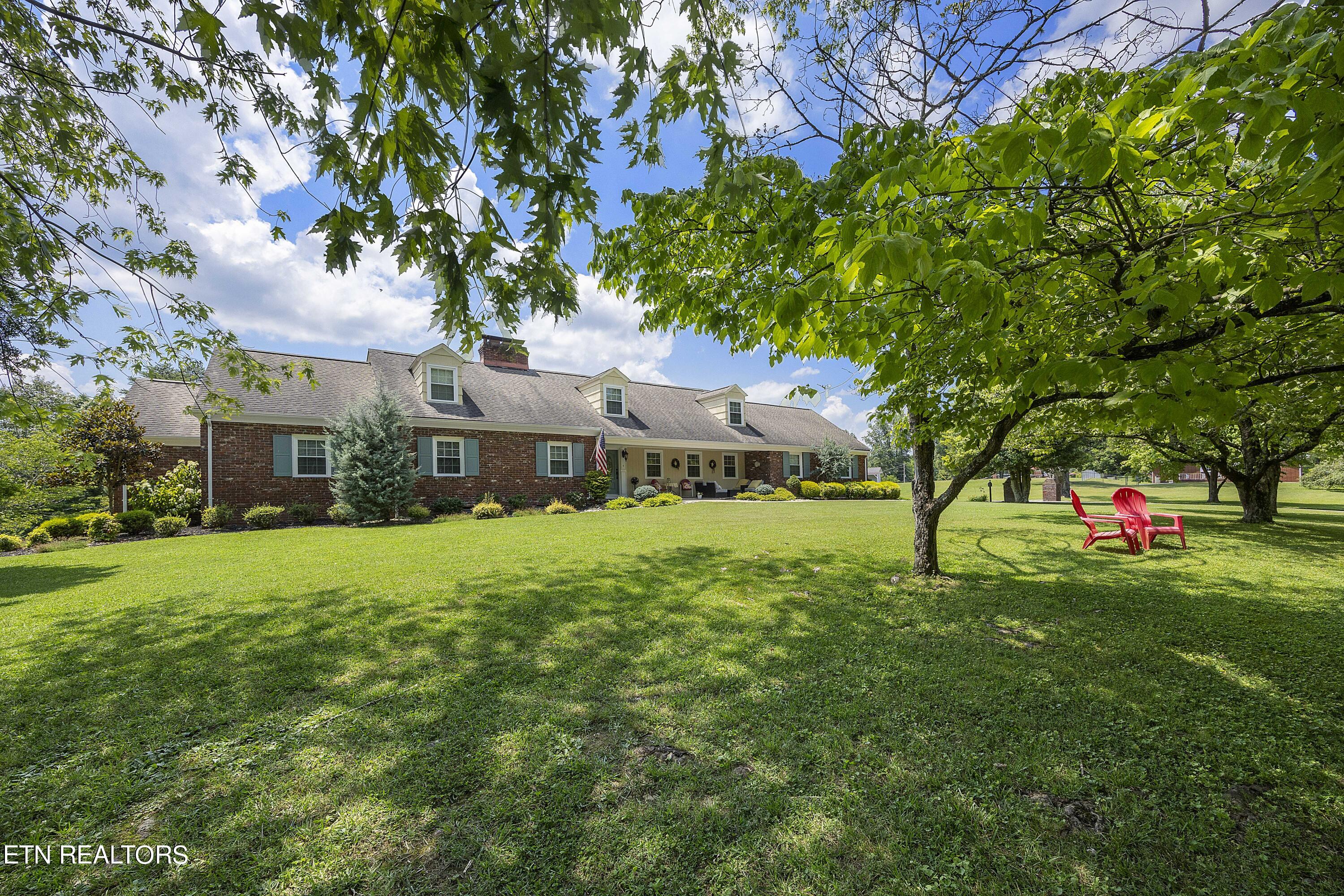704 Claiborne Road La Follette, TN 37766 - Photo 3 of 46 Lovely trees