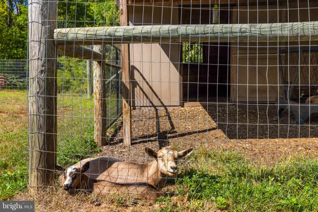 $875,000 | 5077 Silver Stone Lane, Rixeyville, VA 22737