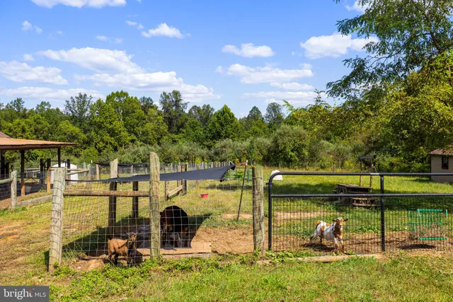 $875,000 | 5077 Silver Stone Lane, Rixeyville, VA 22737