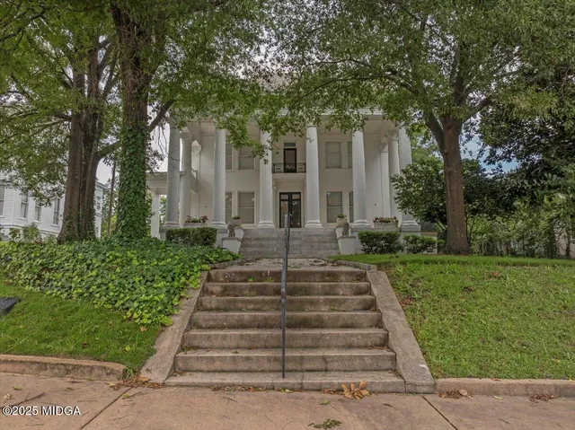 a view of a garden from a windows