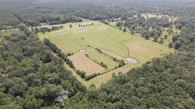 0 Rebel Vidor, TX 77662 - Photo 3 of 4 an aerial view of a house with a yard and large tree