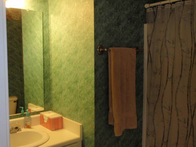 248 Crooked Tree Drive Inman, SC 29349 - Photo 9 of 15
