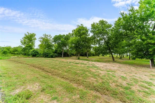 a view of a field with trees in the background