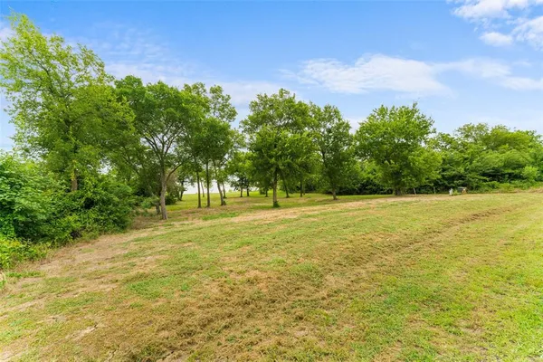 a view of a field with trees in the background