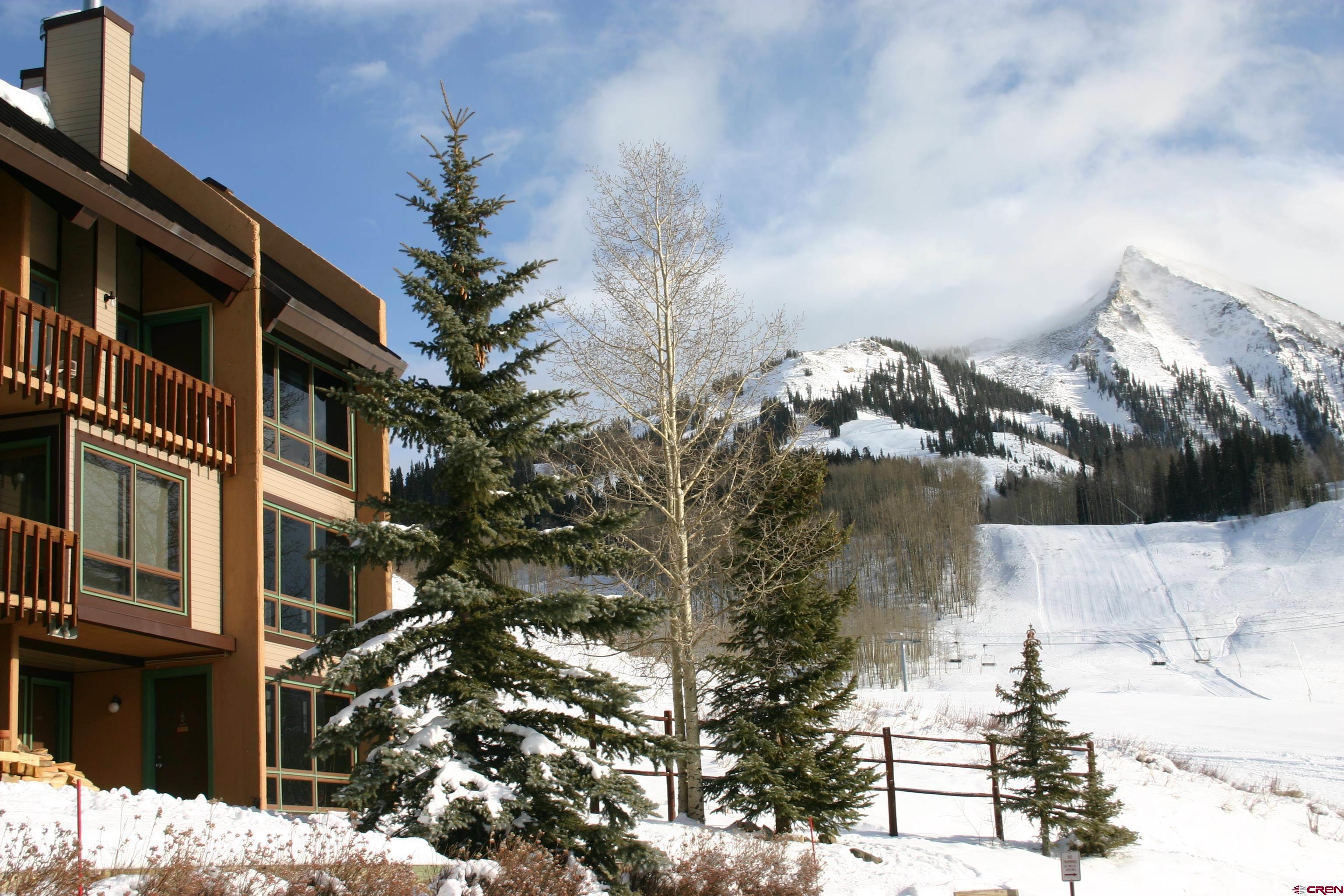51 Whetstone Road, Unit 2306 Crested Butte, CO 81225 - Photo 4 of 44 a backyard of a house with lots of green space