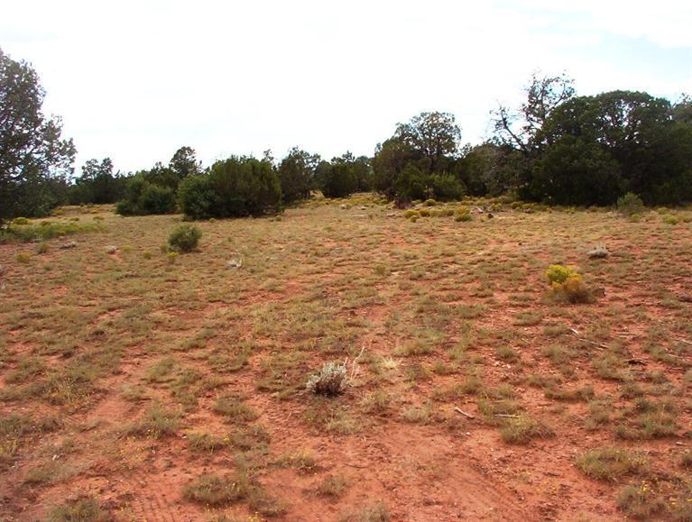 334 West Ranch Road Seligman, AZ 86337 - Photo 14 of 14 Additional Photo